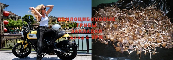 таблы Дмитров