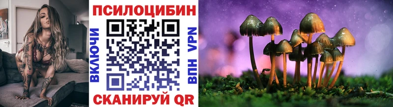 Купить закладки  Лесосибирск  Галлюциногенные грибы Cubensis 